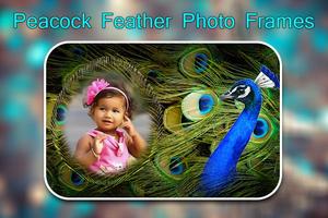Peacock Feather Photo Frames capture d'écran 1