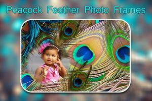Peacock Feather Photo Frames imagem de tela 2