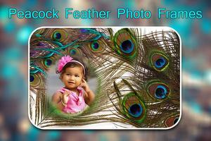 Peacock Feather Photo Frames imagem de tela 3