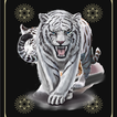 Cek Khodam Wajah icon