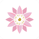 لوتس - Lootts APK