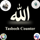 Tasbeeh Counter icône