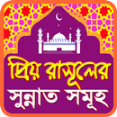 রাসূল (স:) এর সুন্নাত সমূহ~Nobijir Sunnat Somuh APK