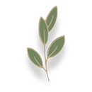 Your Skin Prescription APK