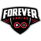 Forever Gaming आइकन