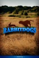 Rabbit Dogs Cartaz