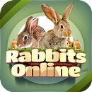 Rabbit Forum APK