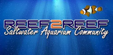 REEF2REEF Saltwater Aquarium Community