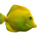 ReefCentral.ru - форумы