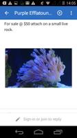 Singapore Reef Club screenshot 2