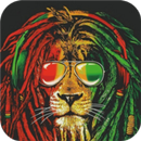 APK Lagu Reggae Cover Terbaik 2022