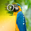 Fill with Paint APK