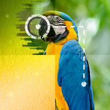 Fill with Paint icon