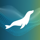 MariaDB OpenWorks APK