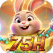 75HTap icon