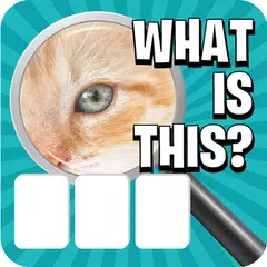 Zoom Pic: Close Up Pic Quiz APK Herunterladen