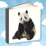 Picture Book For Toddlers APK