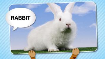Picture Book For Toddlers Ekran Görüntüsü 2