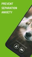 Dog Monitor: Puppy video cam poster