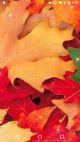 Feuilles d'automne 4K Affiche