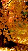 Fall Leaves Live Wallpaper 4K اسکرین شاٹ 1