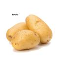 Potato