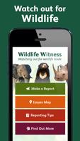 Wildlife Witness Plakat