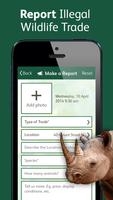 Wildlife Witness ภาพหน้าจอ 1