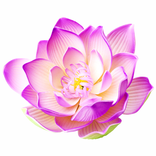 NamFarmers : Social Agri App