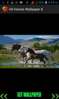 Hd Horses Wallpaper screenshot 3