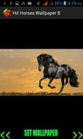 Hd Horses Wallpaper Affiche