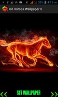 Hd Horses Wallpaper 截图 1