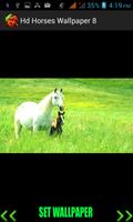 Hd Horses Wallpaper 截图 2