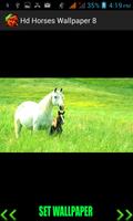 Hd Horses Wallpaper screenshot 2