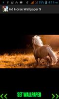 Hd Horse Wallpaper Affiche