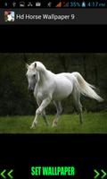 Hd Horse Wallpaper screenshot 1