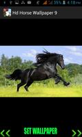 Hd Horse Wallpaper স্ক্রিনশট 2