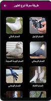 طريقة معرفة نوع الحمام постер
