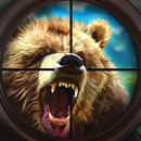 APK Bear Target Shooting