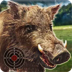 download Wild Boar Target Shooting APK
