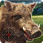 Wild Boar Target Shooting أيقونة