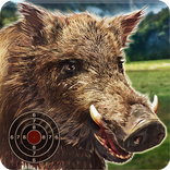 Wild Boar Target Shooting
