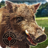 Wild Boar Target Shooting icône