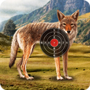 Coyote Target Shooting APK