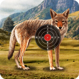 Icona Coyote