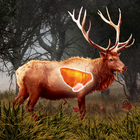 Deer Target Hunting - Pro icône
