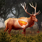 Deer Target Hunting - Pro أيقونة