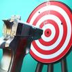 Pistol Shooting Club - FPS weapon simulator