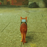 Lost cat stray icon
