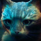 A Lost Cat Stray icon